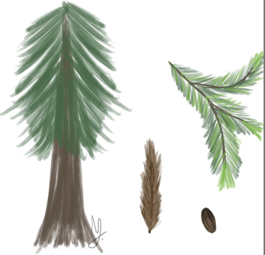 10 homebrew herbs for your DnD campaign (1) Narrated Peristalsis